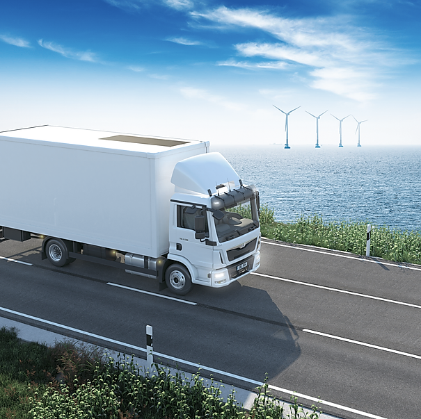 Camion